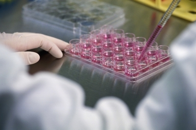 Amenzi uriaşe pentru 5 centre medicale şi 2 bănci de celule stem