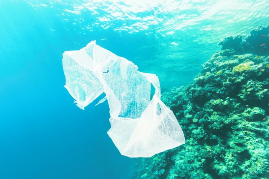 Reziduurile din plastic au început să facă parte din ecosistemul Mării Mediterane în numai un secol