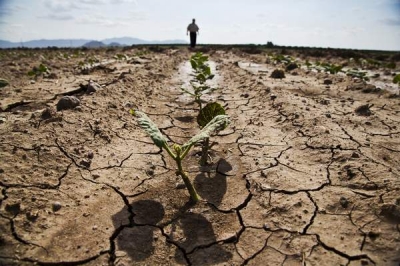 Deficitele de apă din solul agricol se menţin în sud-estul, estul şi local în sudul şi vestul ţării