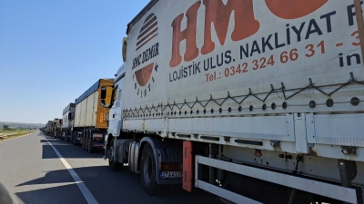 Galaţi: Sute de şoferi de TIR, în cozi kilometrice către punctul de trecere al frontierei