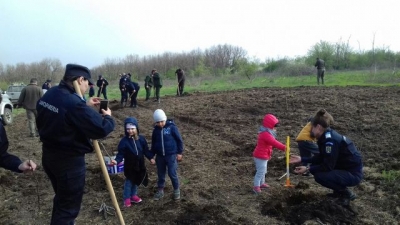 Jandarmii şi militarii gălăţeni au plantat copaci în comuna Vânători