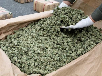 5 kg de marijuana şi sute de mii de lei, captură a poliţiştilor BCCO