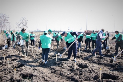 Ministerul Apelor şi Pădurilor şi Romsilva au dat startul campaniei de împăduriri de primăvară