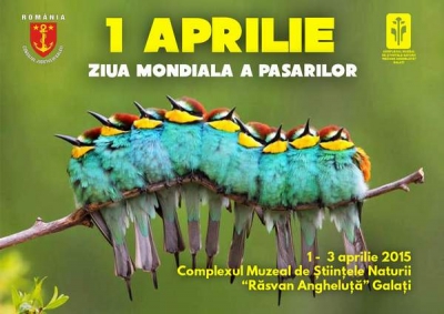 1 aprilie – Ziua Mondială a Păsărilor
