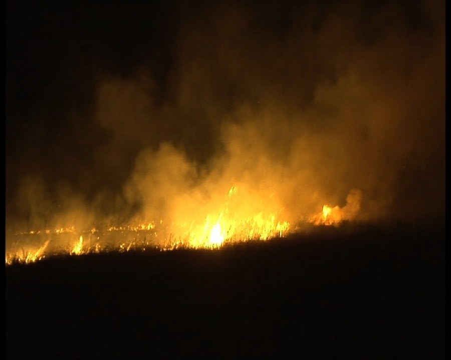 A luat foc vegetaţia de la artificiile pentru nuntă