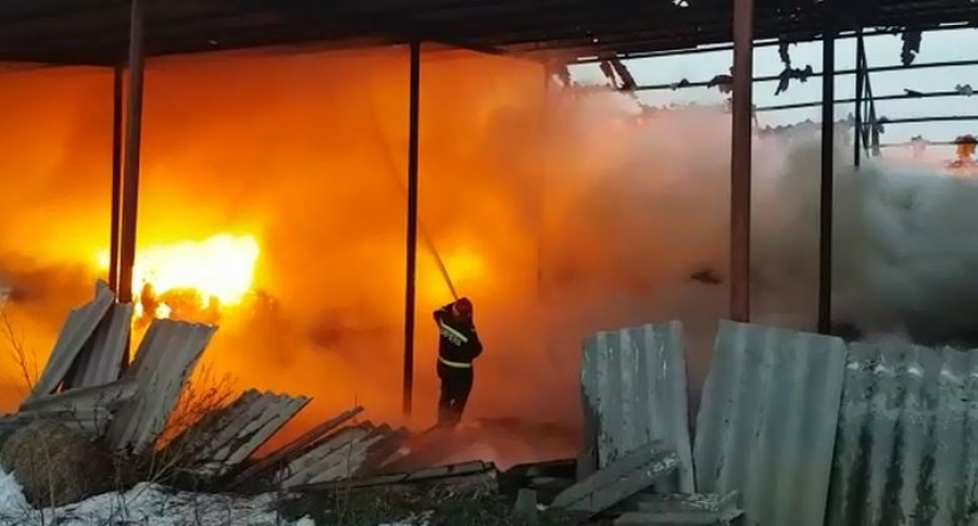 Incendiu devastator în județul Tulcea (VIDEO)