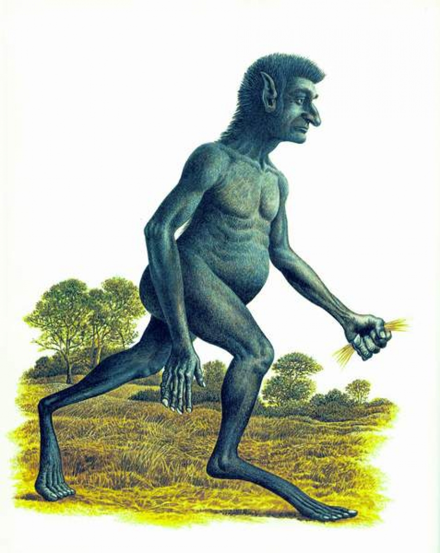 O nouă specie umană va apărea până în 2050