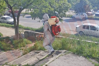 Începe din nou lupta cu ţânţarii şi căpuşele