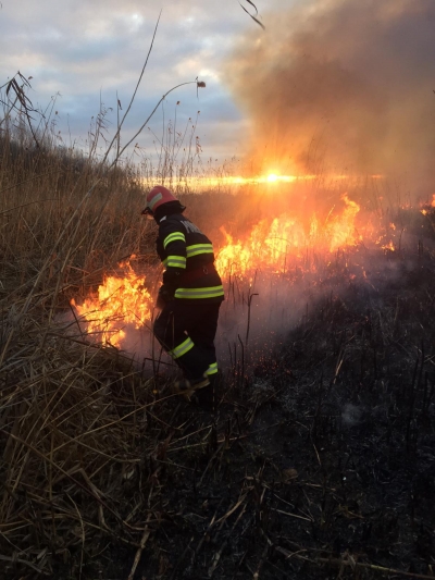 Incendiu de proporţii în apropiere de Isaccea