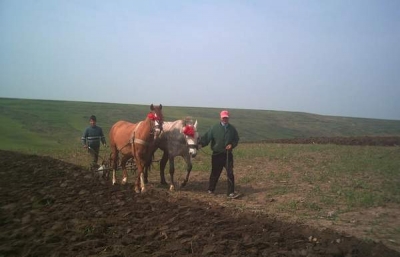 The Guardian: „Ţăranii români stau în calea îmbogăţirii investitorilor străini”