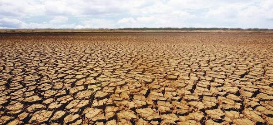 Din 2030, schimbările climatice vor provoca anual moartea a 250.000 de oameni