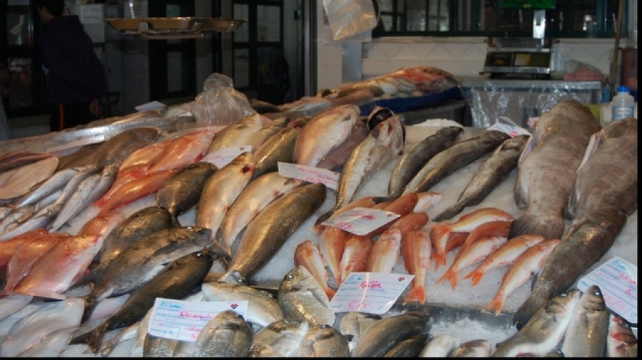 România a importat 56.021 tone de peşte, crustacee şi moluşte în primele nouă luni din 2017