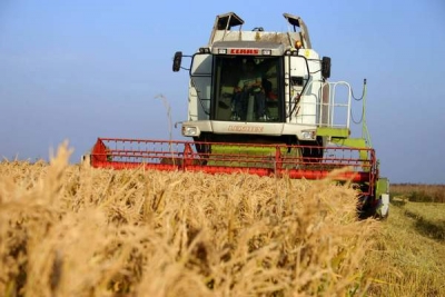 România şi Bulgaria se aşteaptă la recolte bune de grâu în acest an