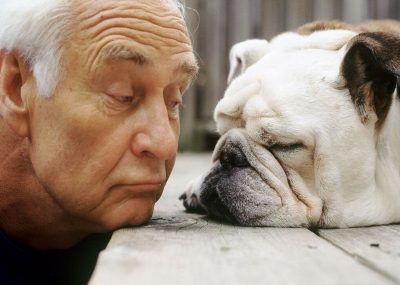 Câinii s-ar folosi de mimică pentru a comunica cu omul, nu sub impulsul emoţiilor
