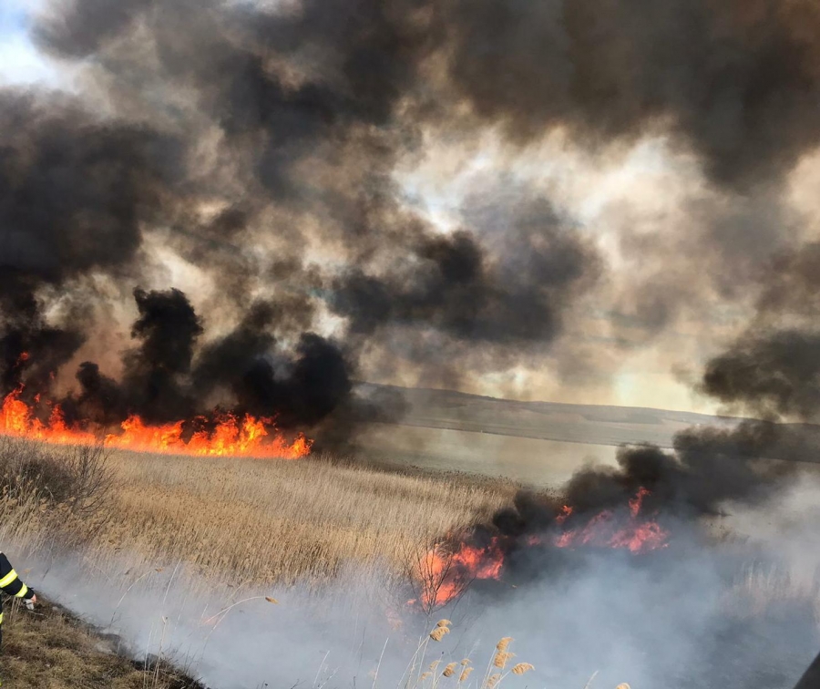 Tulcea: Incendiu puternic de vegetație uscată și stuf