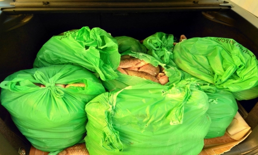 Poliţiştii au confiscat 240 kg de peşte adus din Republica Moldova