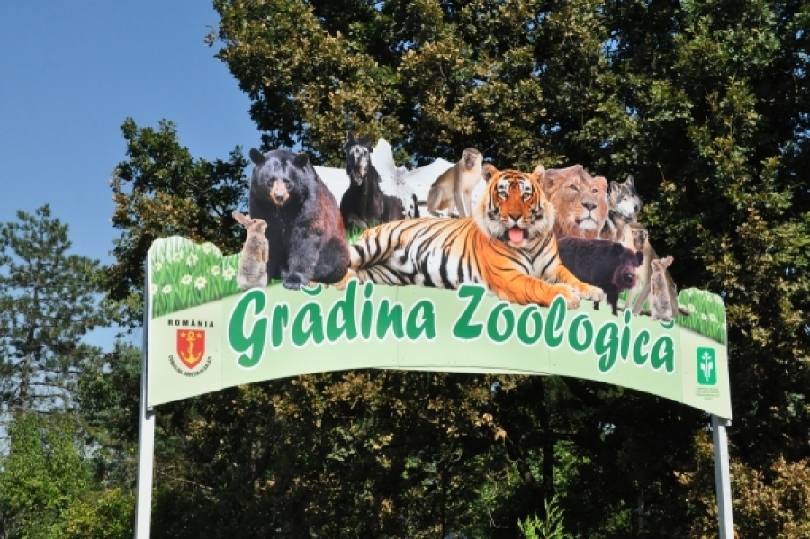 De 1 Iunie, intrare gratuită la Zoo Galaţi, Grădina Botanică şi Acvariu, pentru copii