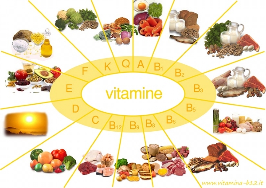 Vitaminele şi importanţa lor pentru organism