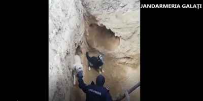Jandarmii gălăţeni au coborât într-o groapă de 5 metri ca să salveze doi căţei