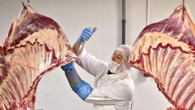 România va începe curând exportul de carne de porc în China