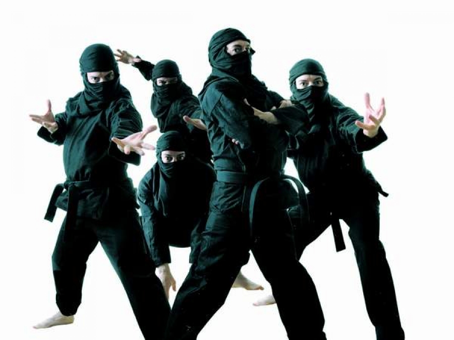Imaginea luptătorilor ninja, vector de promovare a turismului în Japonia