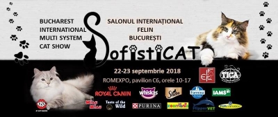 Sute de pisici din toată lumea vin în acest weekend la SofistiCAT - Salonul Internaţional Felin Bucureşti