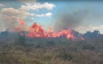 Incendiu de vegetaţie, în sat Costi