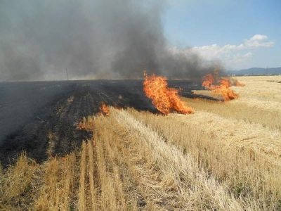 Primăvara a venit cu 10 incendii la vegetaţie