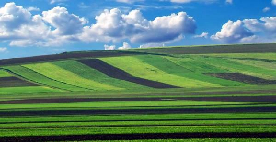 Topul ţărilor care deţin terenuri agricole în România