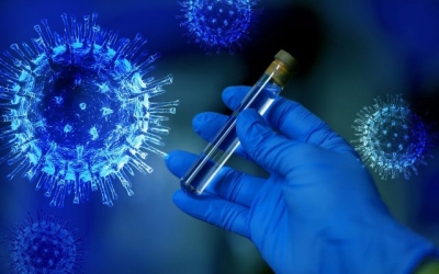 Coronavirus: Varianta sud-africană, detectată în Noua Zeelandă