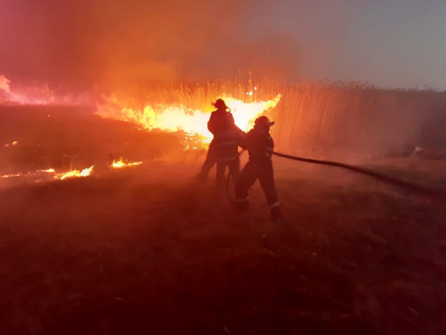 Tulcea: Incendiu de vegetaţie uscată şi stuf în apropierea localităţii Traian