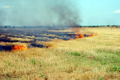August a început cu un val de  incendii