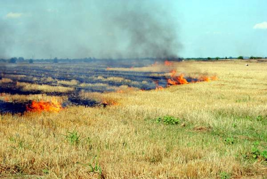 August a început cu un val de  incendii