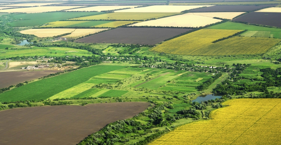 INS: Anchetă privind structura exploataţiilor agricole din România în 2017