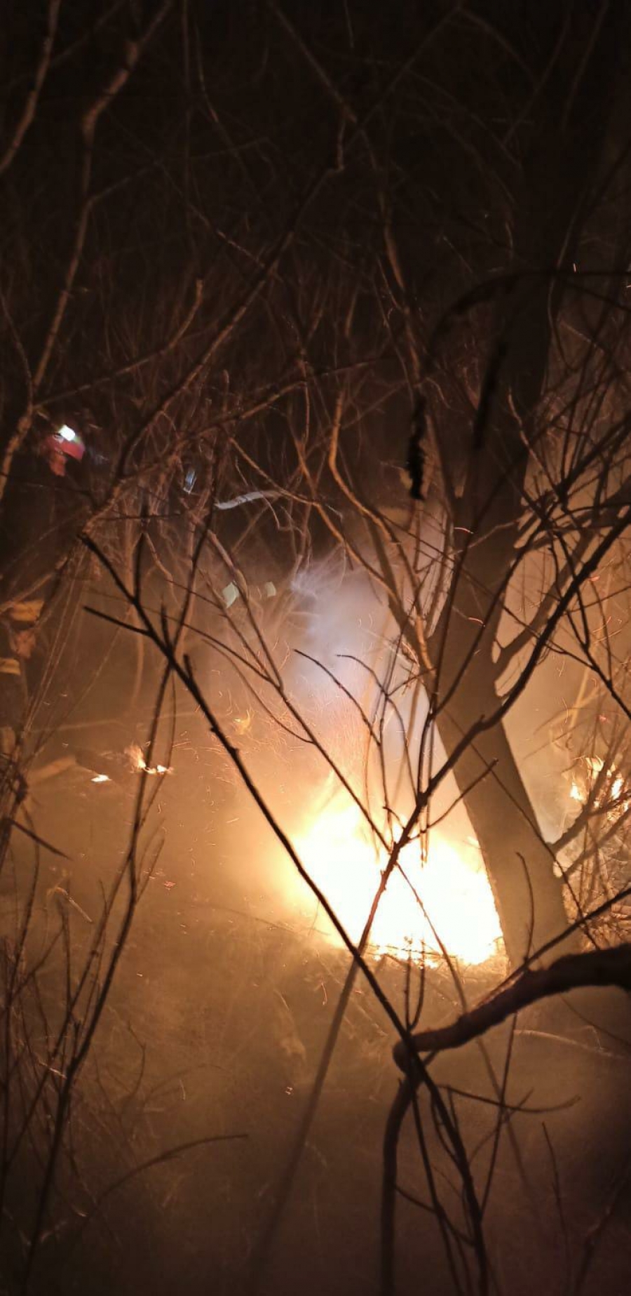 TULCEA: Incendiu puternic de vegetaţie uscată (VIDEO)