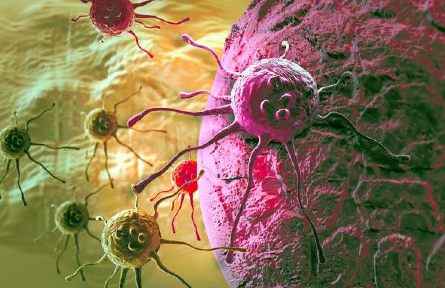 Imunoterapia anti-cancer, descoperirea ştiinţifică nr 1 în anul 2013