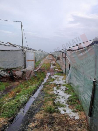 Grindina a făcut prăpăd la Matca