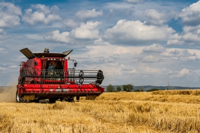 Producţia agricolă a crescut în 2017 la toate culturile, dar a scăzut la fructe