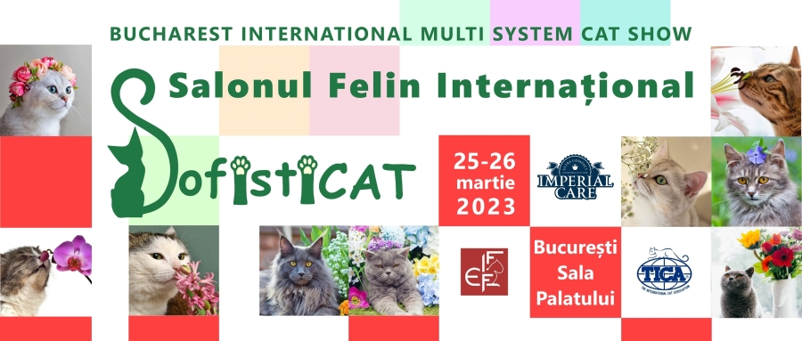 SofistiCAT - Salonul Felin Internaţional Bucureşti revine la Sala Palatului cu ediţia specială „Flori şi pisici”