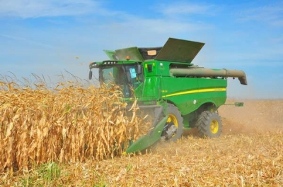 România a avut anul trecut un excedent comercial agroalimentar