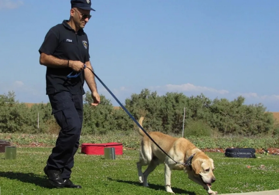 Surpriză criminală pentru noii proprietari de casă (FOTO)