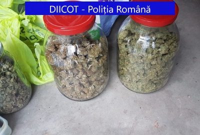 Aduceau droguri din Germania şi de la Cluj şi le vindeau în Galaţi
