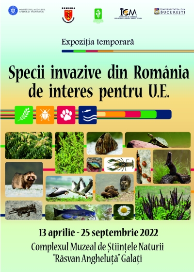 "Specii invazive din Romania de interes pentru U.E.", expoziţie temporară la Complexul Muzeal Galaţi