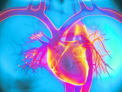 Cercetătorii americani au descoperit efectul pe care îl are reducerea consumului de calorii asupra bolilor cardiace