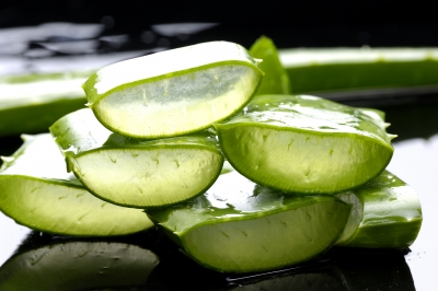 Aloe Vera, "planta nemuririi"