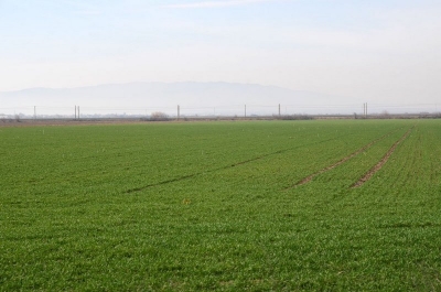 Primăria Galaţi caută, dar nu găseşte, cui să închirieze un teren arabil de peste 53.000 mp