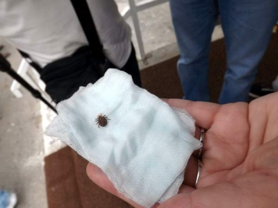 30 de oameni la spital din cauza căpuşelor, în ultima săptămână