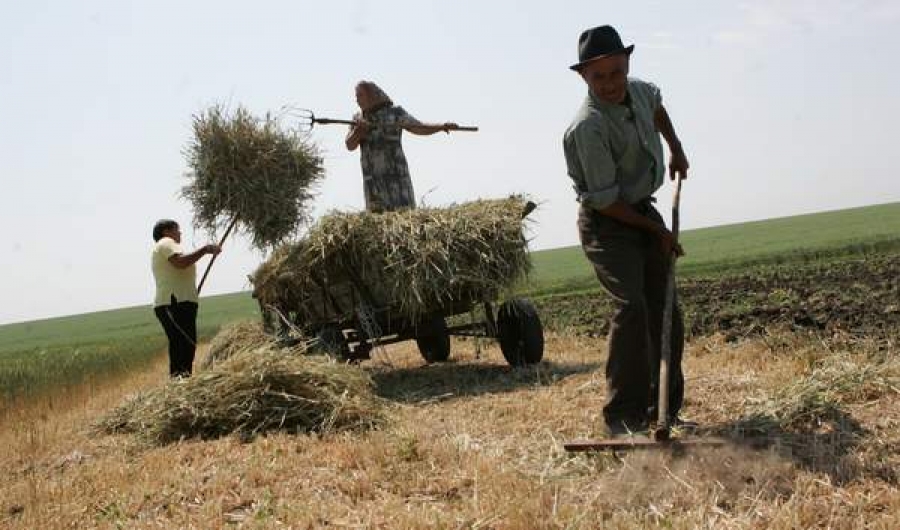 Fermierii vor avea la dispoziţie proiecte tip făcute de Ministerul Agriculturii pentru PNDR