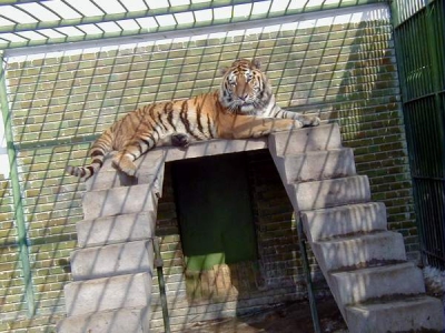 Se redeschide Grădina Zoologică din Pădurea Gârboavele