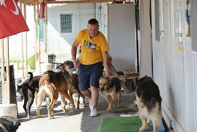 Câinii fără stăpân, o sută de ani de probleme în Turcia (FOTO)